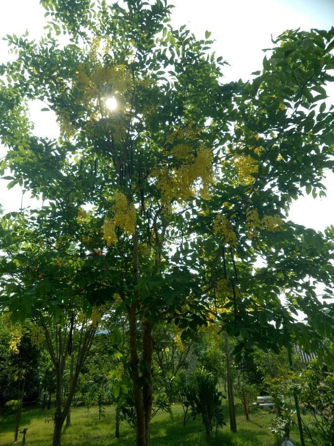 Kum Nangpaya แก่งกระจาน